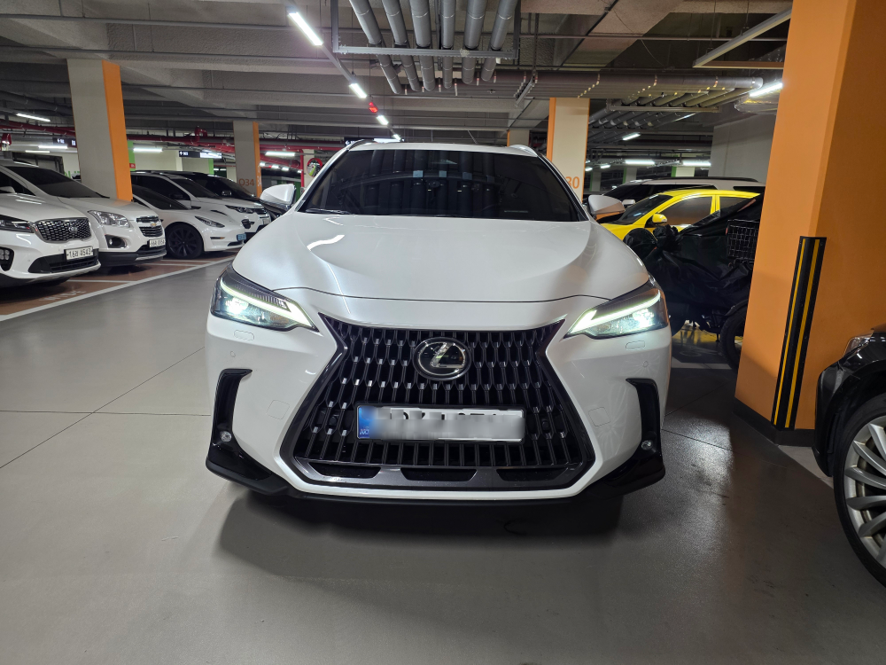 렉서스 NX350h